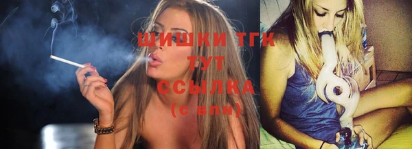 прущие грибы Алзамай
