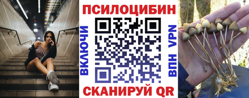 магазин    Дальнереченск  Псилоцибиновые грибы Psilocybine cubensis 