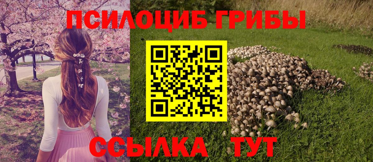 Галлюциногенные грибы мухоморы Дальнереченск