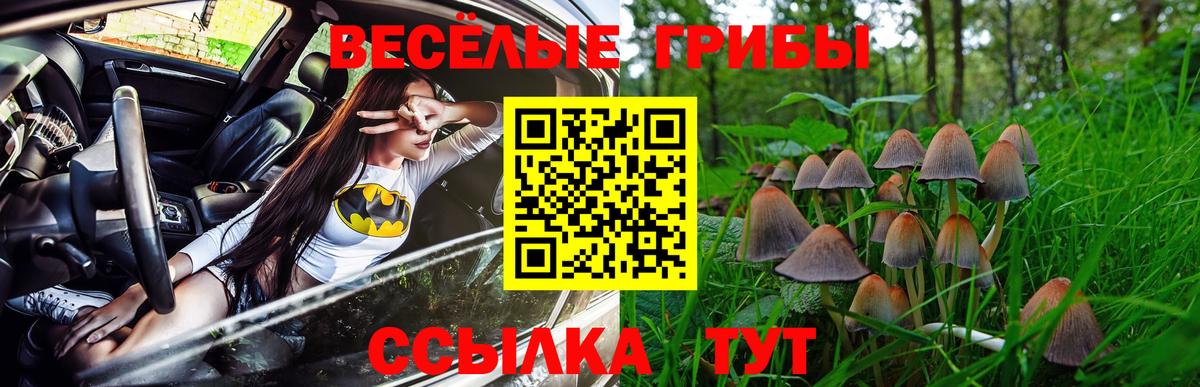 Галлюциногенные грибы MAGIC MUSHROOMS  Псилоцибиновые грибы Psilocybe  Вход с VPN  Дальнереченск 